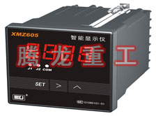 溫度表、數(shù)字顯示儀、濕度表