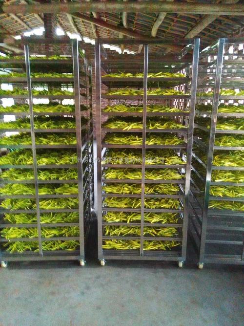 黃花菜烘干機、黃花菜烘干設備、黃花菜干燥機、黃花菜干燥設備、